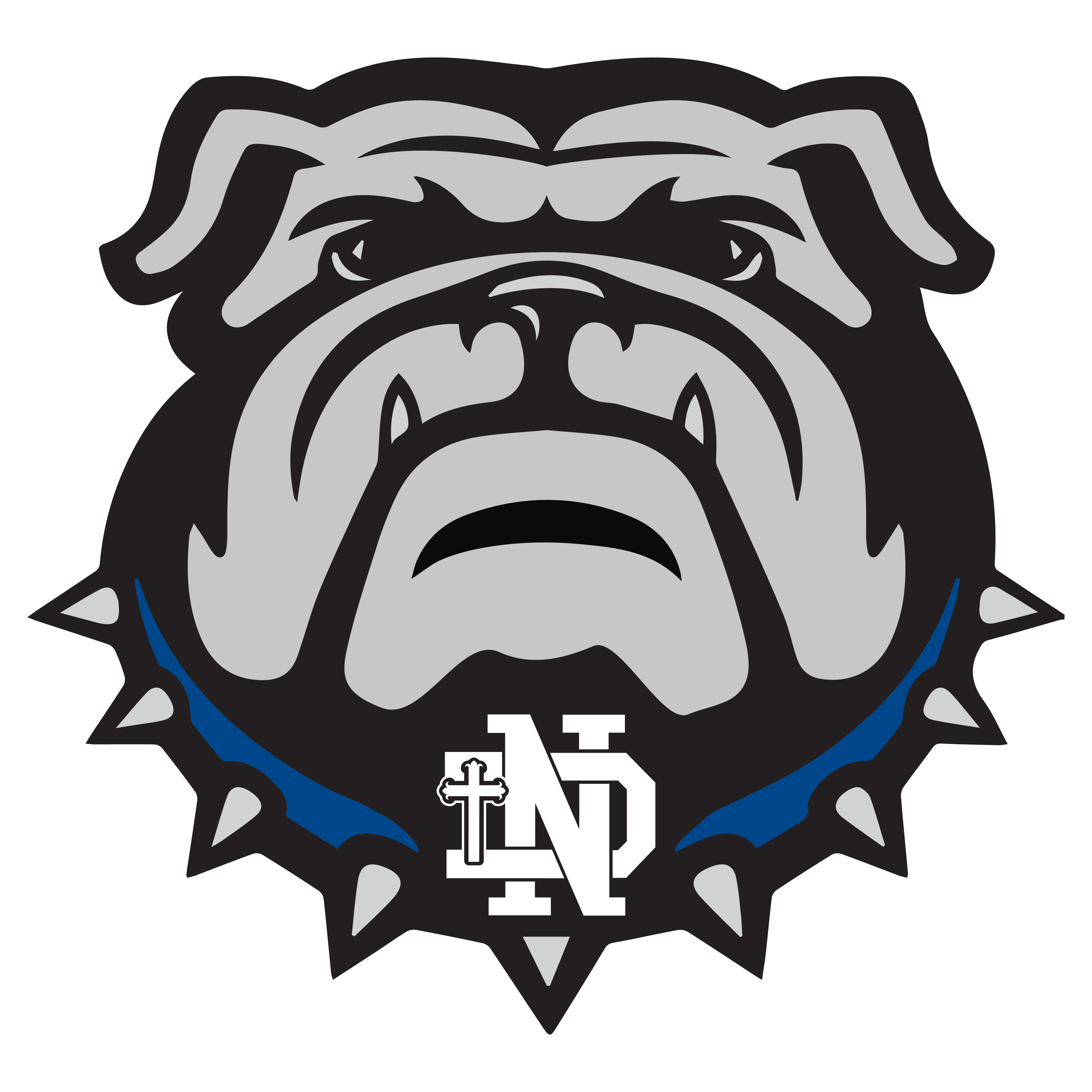 Notre Dame (Cape Girardeau)